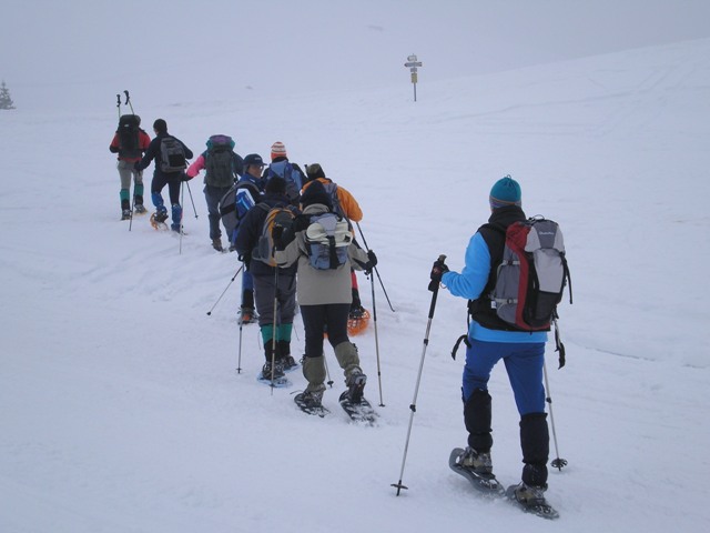Tutti in fila si serpeggia arrampicandosi sui pendii tutti imbiancati di neve e di nebbia!